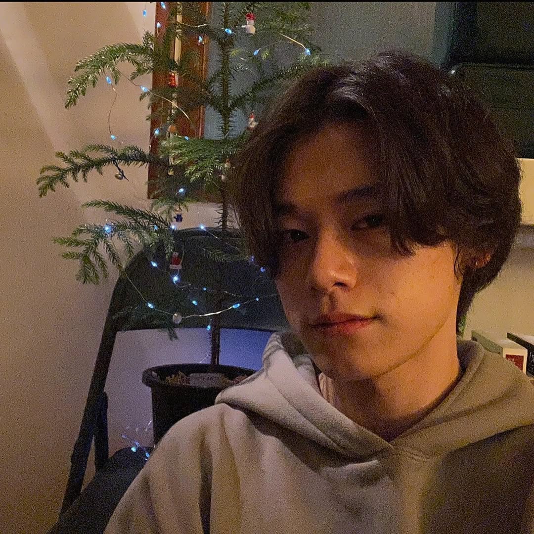 just me, a cat, and a tiny christmas tree.