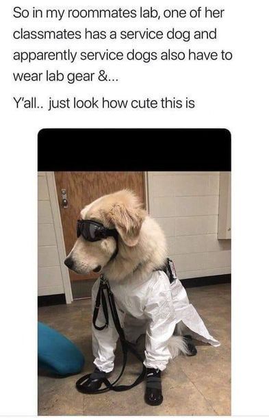 WholesomeMemes tweet media