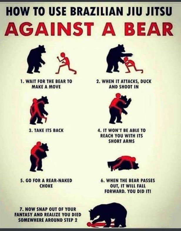 <a href="/AMAZlNGNATURE/">Nature is Amazing ☘️</a> Or you can just use these moves. They’re super effective against all 3 bear types 🤝