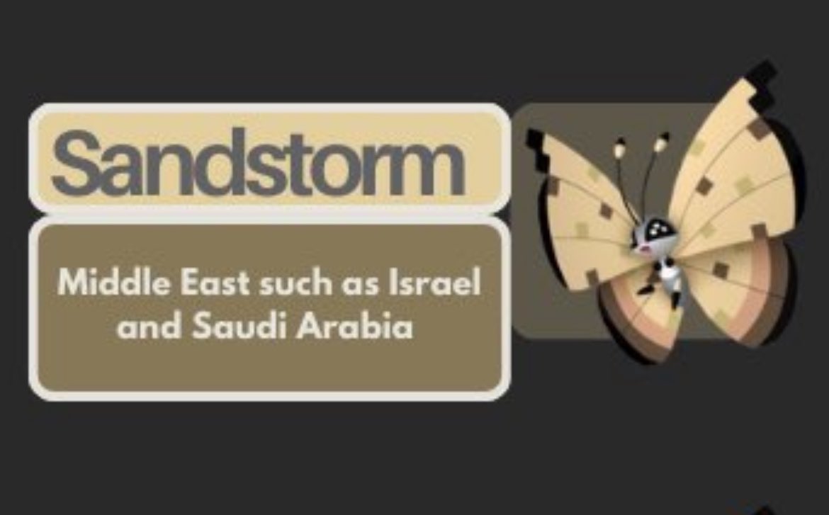 micsheldon1's tweet photo. 🤎🤎🤎Hello looking to add sandstorm player , would like to open your gift . comment or pm me ? Thanks you 🥳😍🙏🏻
#pokemongo #sandstorm #villion #PokemonGOfriendscode https://t.co/OBRd9BAC1C