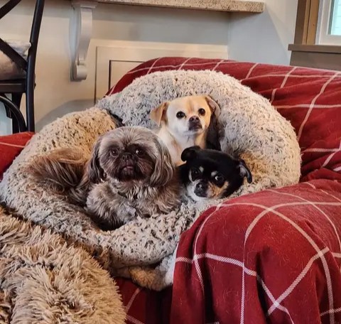 Dazzling (@dazzlingsexiest) on Twitter photo 