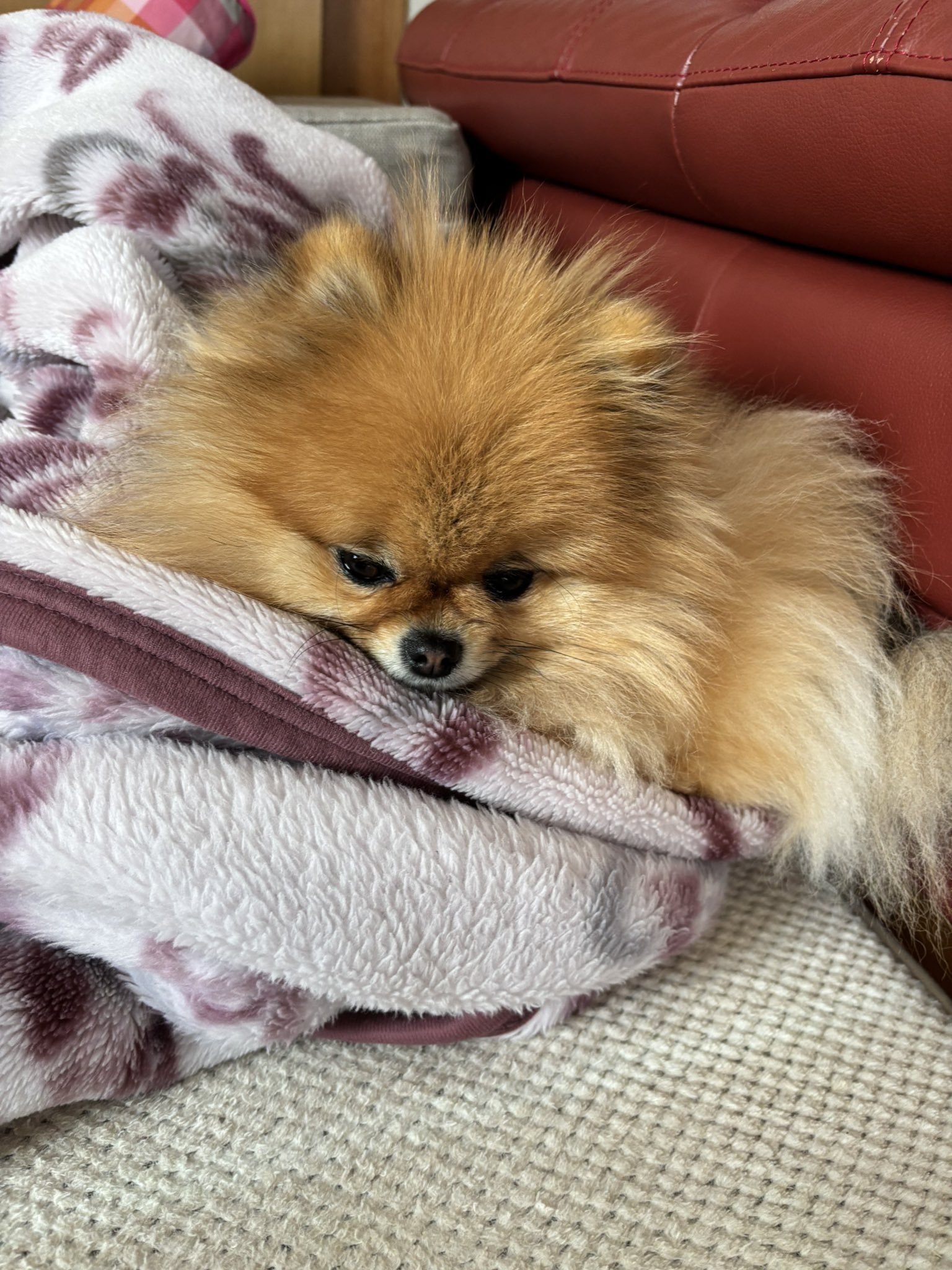 無断転載禁止 – Søg / X