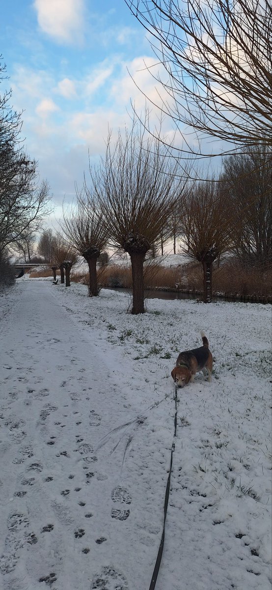 Ja hoor ook in #zeeland een beetje #sneeuw