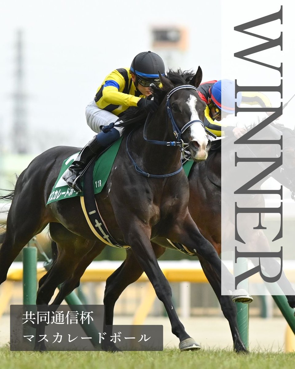 🏆共同通信杯🏆 #マスカレードボール おめでとうございます🎊