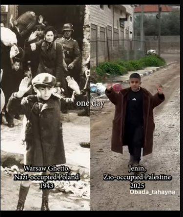 ANNA LÜSE tweet media