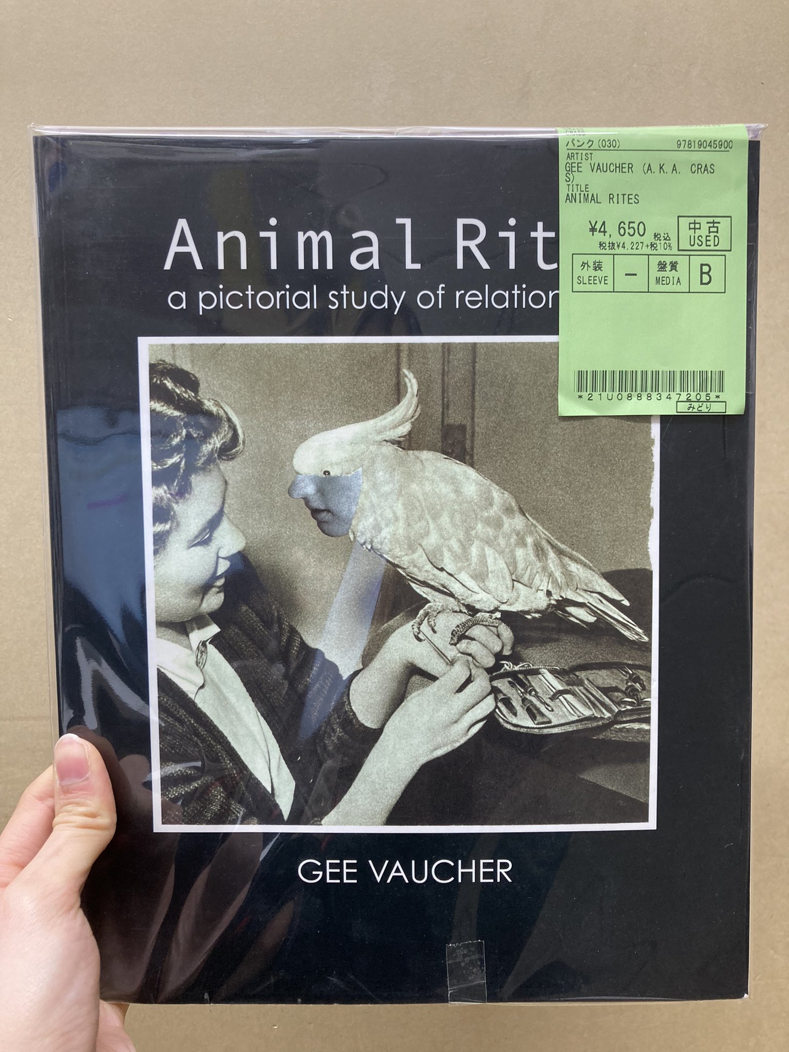 洋書 Animal Rites Gee Vaucher Animal Rites Gee Vaucher