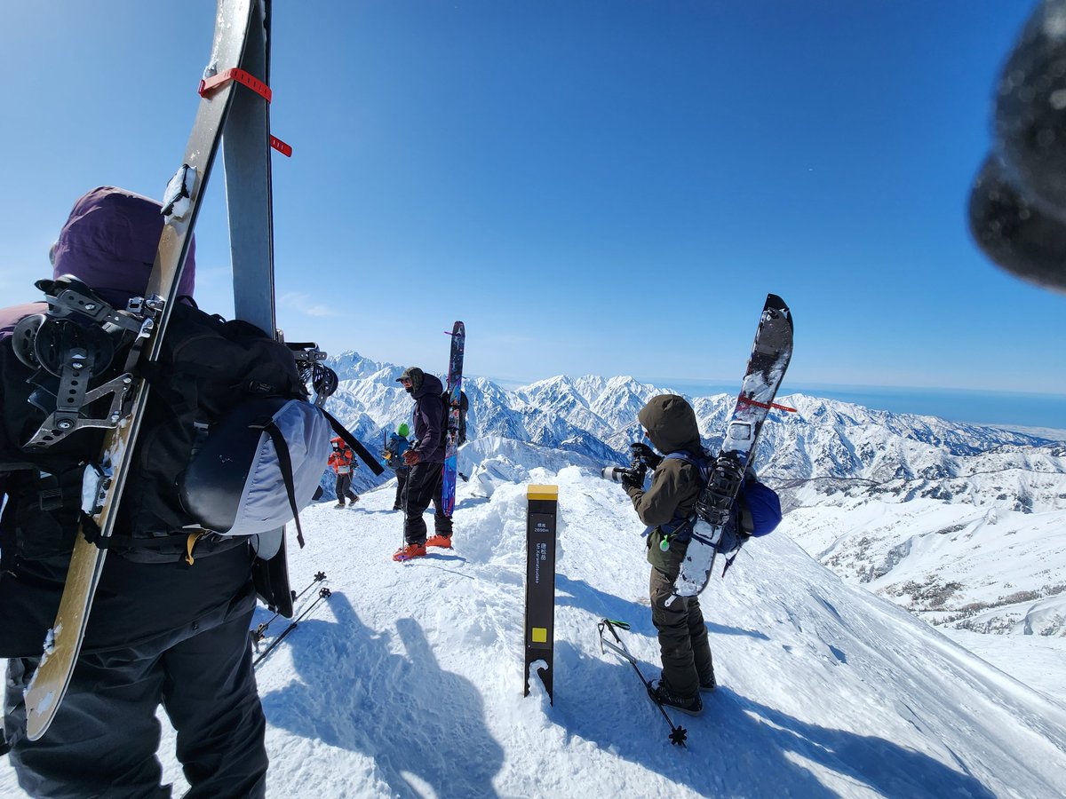 ★とりちゃん様♥️専用ページ★ とりちゃん (@isohiyodori3) / Posts / X