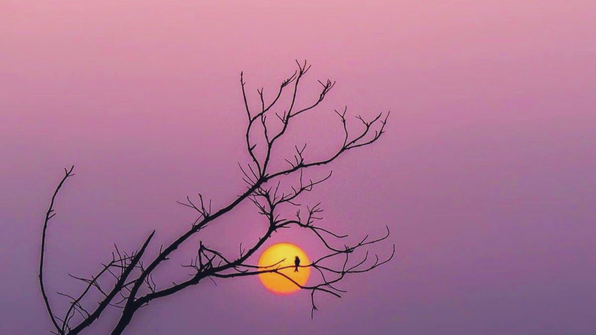 “You are my Walī in this world and in the hereafter.”

Al-Quran~ 12:101
