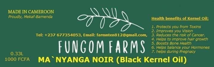 Fungom Farms tweet media