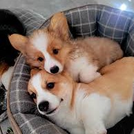 #SANREMO2025

ITALIANI                         ITALIANI 
QUANDO NON             QUANDO IL
GLI VA BENE                  GOVERNO 
CHI VINCE                      REPRIME
SANREMO                      LE LIBERTÀ