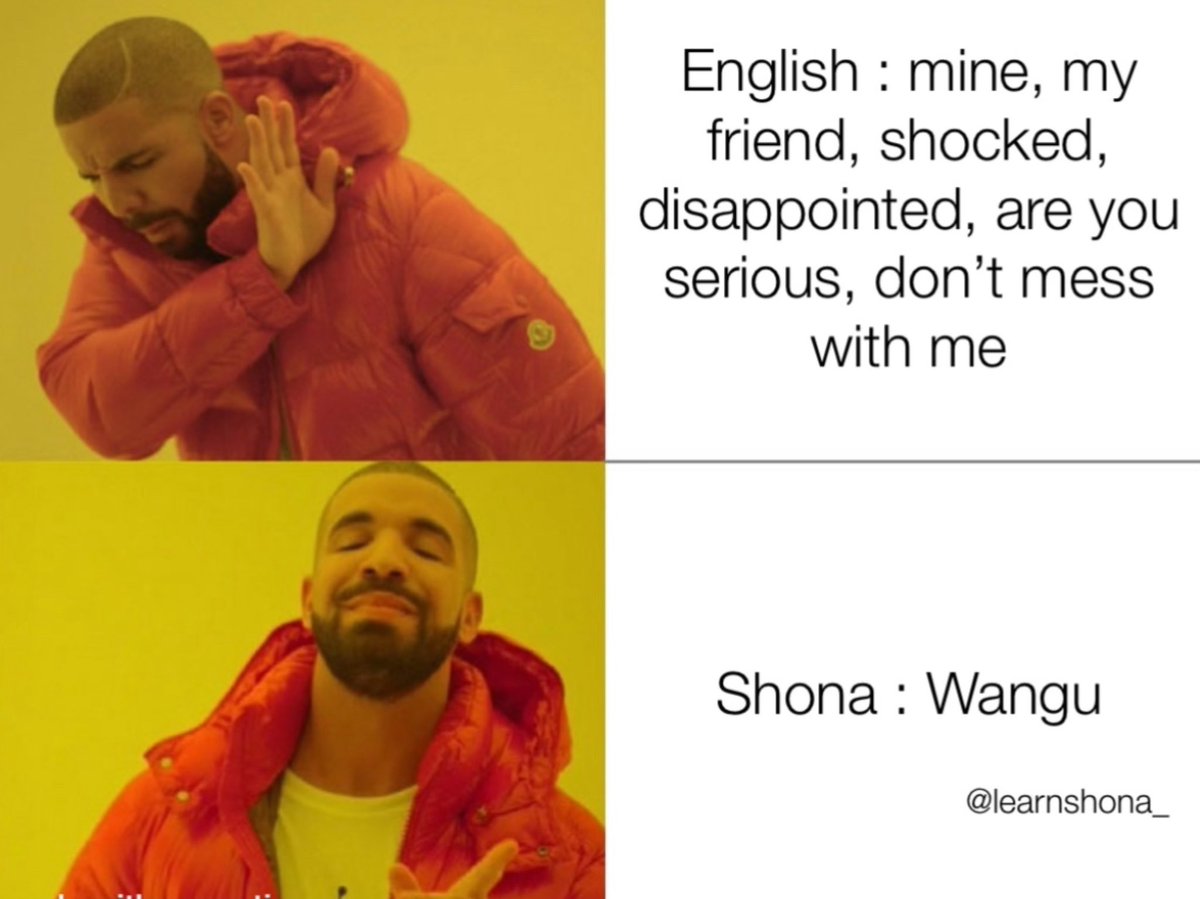 Shona is so efficient