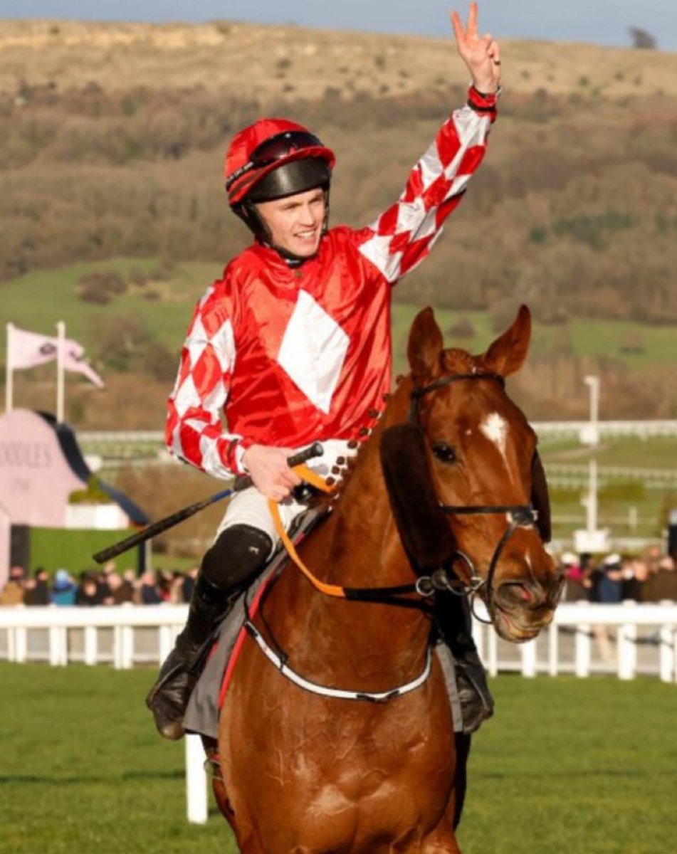 JOEY LOGAN - Grangeclare Stud tweet media