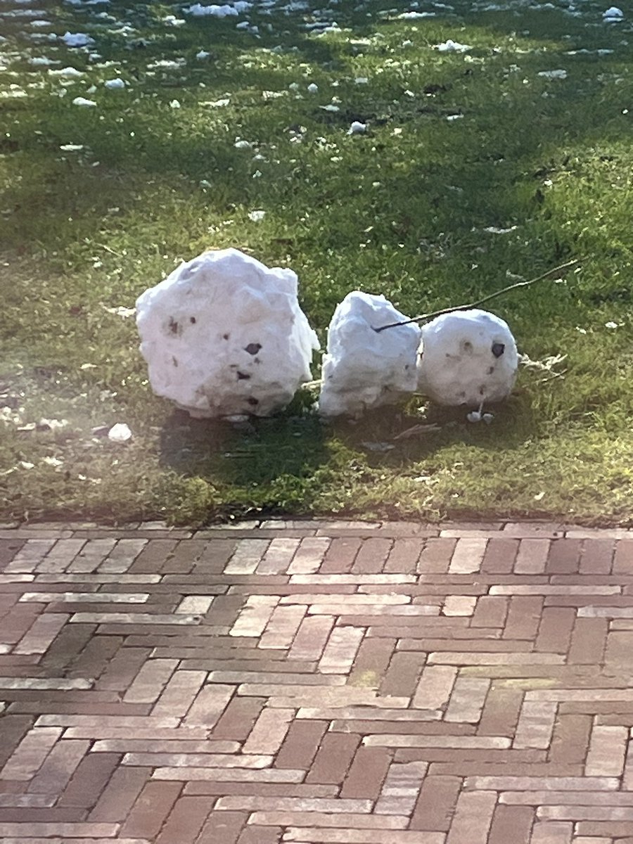 Dat was hem dan? De horrorwinter van 2025?