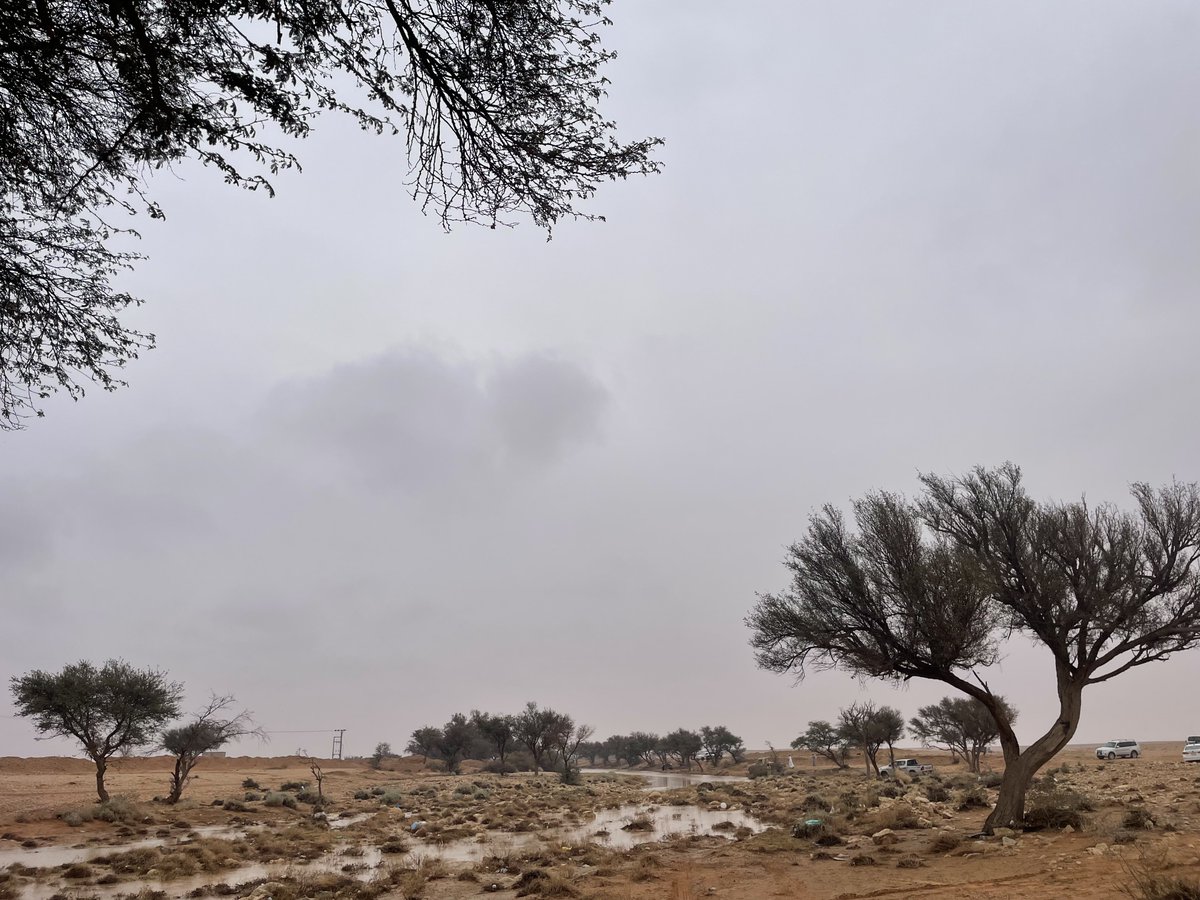 b_alshabibi's tweet photo. 🌧️🪻🌿
#الامطار_والاجواء_الحلوه 
#صورة_من_تصويرك 📸
#شتاء_السعودية 🤍 https://t.co/otp0JgzjwR