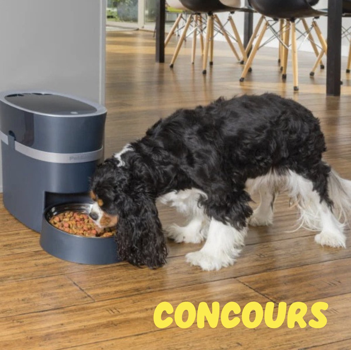 FOLLOW &amp; RETWEET <a href="/PetSafeFR/">PetSafe® France</a> - Un distributeur qui distribue les croquettes même en votre absence ? Tentez de remporter notre Distributeur de croquettes connecté Smart Feed  🐾
TAS d'1 gagnant le 21 février prochain ! Bonne chance à tous !
*Participations ouvertes 🇫🇷 et 🇧🇪