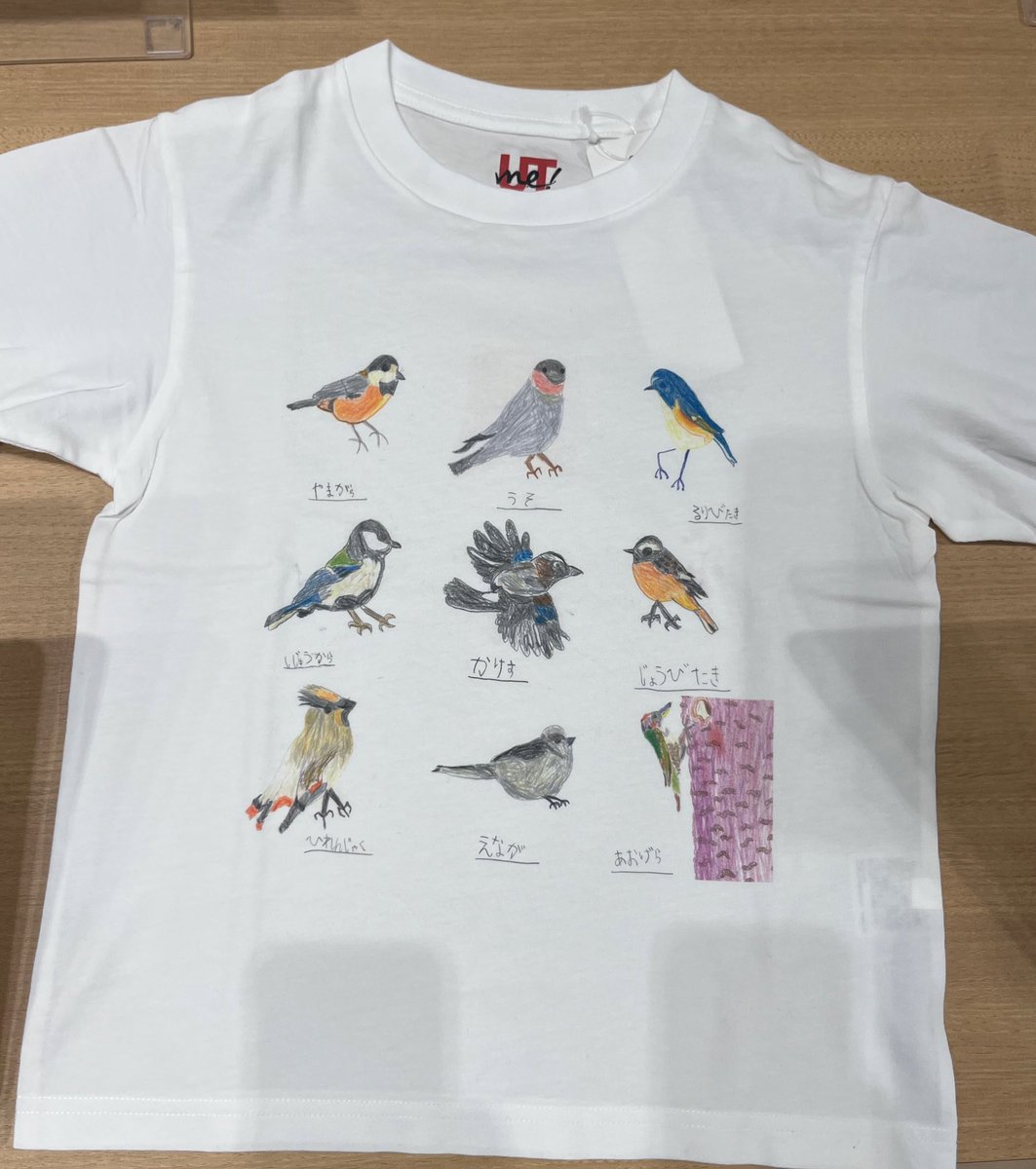 chaco3mama's tweet photo. UNIQLOでUTにして、遠足当日着ていくことにした！
冬の野鳥図鑑、おまけページの木の実もかわいい。 https://t.co/EJPOq1P2iY