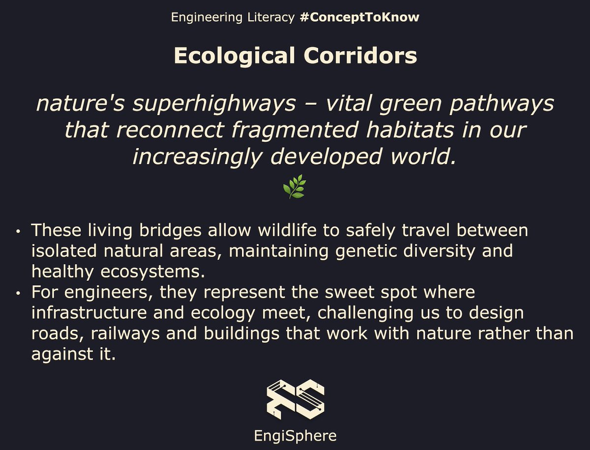 engisphereweb's tweet image. 🌿 Nature&apos;s superhighways: Ecological corridors reconnect fragmented habitats, giving wildlife safe travel lanes between isolated areas! 🦊 #GreenEngineering #WildlifeConservation #EcologicalEngineering #GreenInfrastructure #EngineeringLiteracy #ConceptToKnow