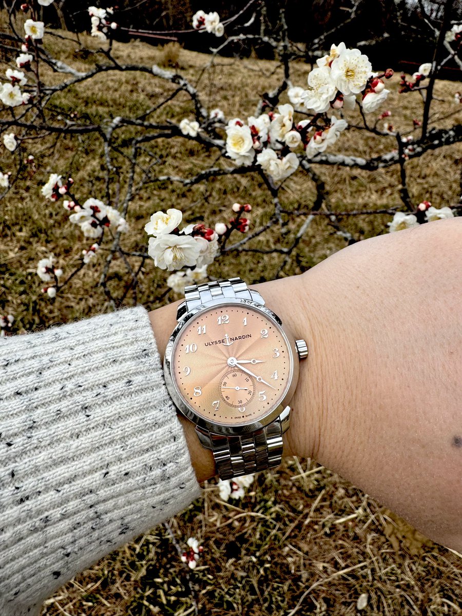 BobsonWatch's tweet image. 写真の加工を覚えた⌚️🥺