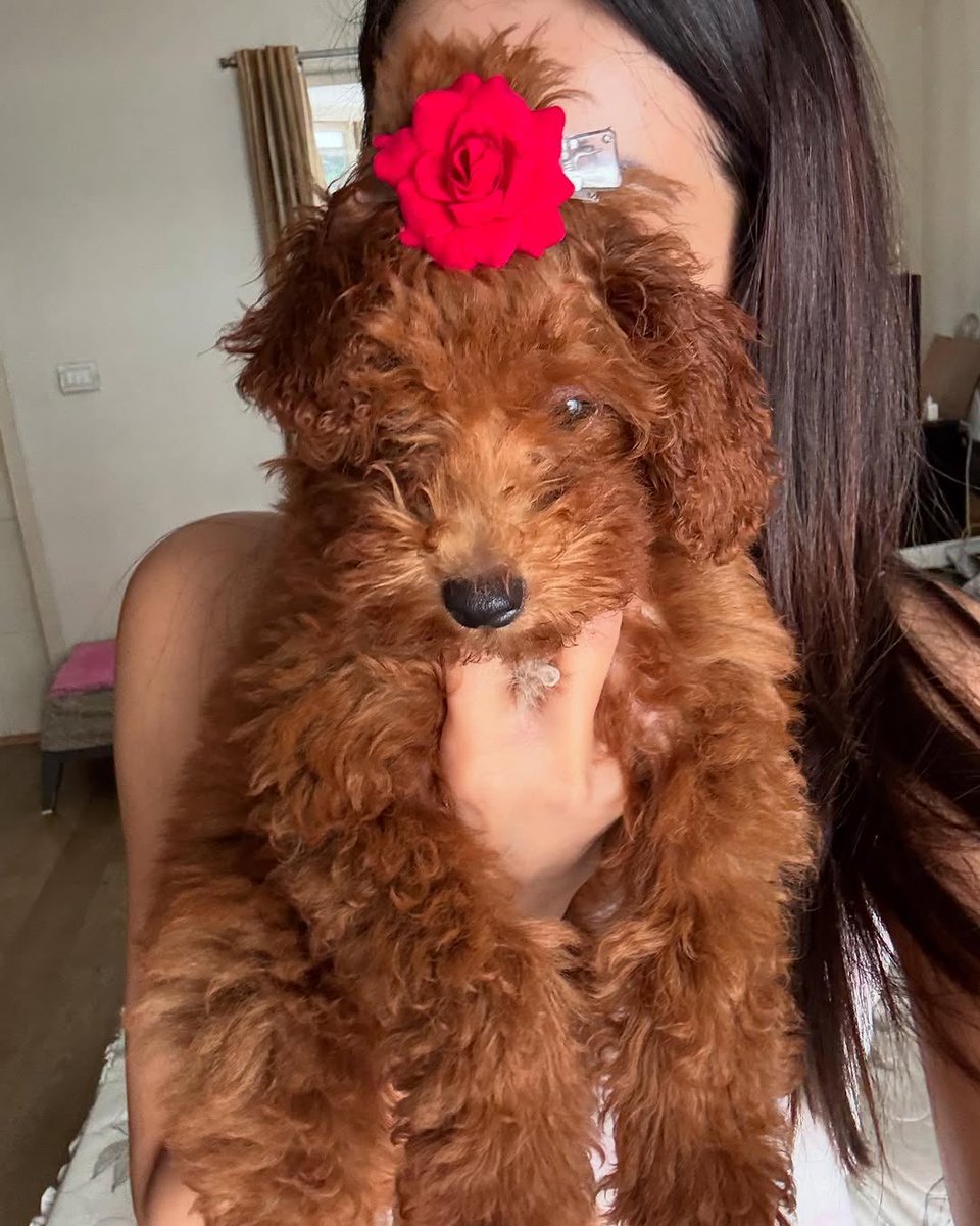 sabtumharahai's tweet photo. Izzy Nation, wake up! We got our cutie patootie’s pictures—OMG! 😭🤏🏻❤️

ᴛᴀɢꜱ ‧₊˚🖇️✩  @trishtrashers #Izzy #TrIzzy https://t.co/36wXZQBp3r