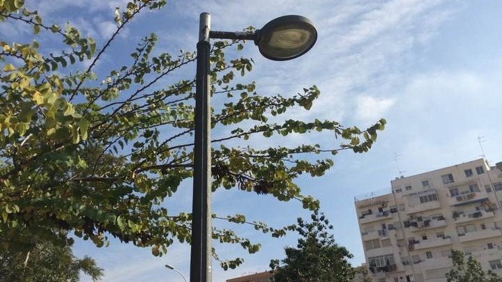 AjuntamentVLC's tweet image. 💡Iniciem la renovació de l'enllumenat públic a #Natzaret amb la instal·lació de 138 fanals.

▶️L'actuació pertany al contracte de millora d'enllumenat públic als #barris, dotat amb 1,3 M€, que inclou les propostes veïnals del projecte participatiu #DecidimVLC 2022/2023.