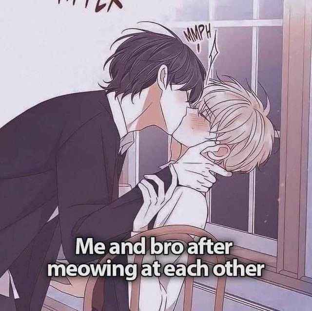 PackBis's tweet photo. i meowed at u plz respond https://t.co/Ok7lStuJHj
