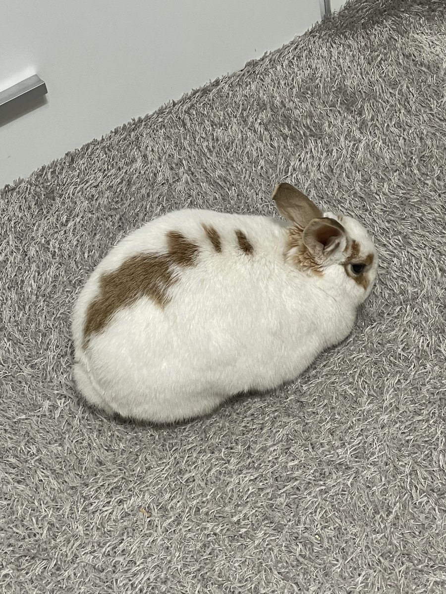 오늘 기분 주무룽야 정도