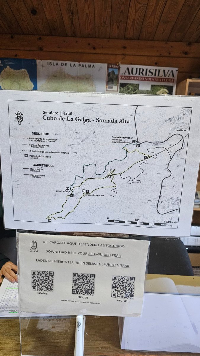 ViajarCamper's tweet photo. ℹ️ Antes de ir: Visita el punto de información turística 📜⏳ Te dan mapas y consejos útiles. 🚍 Llega temprano: hay poco aparcamiento y más tarde llegan buses con turistas.
#SenderosLaPalma #ViajarCanarias #BosqueMágico #CuboDeLaGalga https://t.co/zbA8f0GWG8