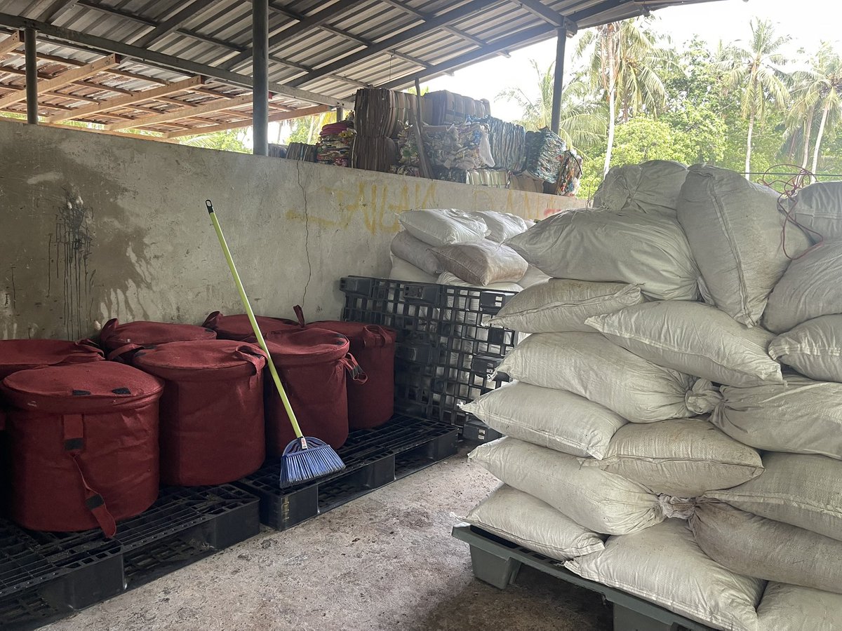 KUDA FARI - little big island tweet media