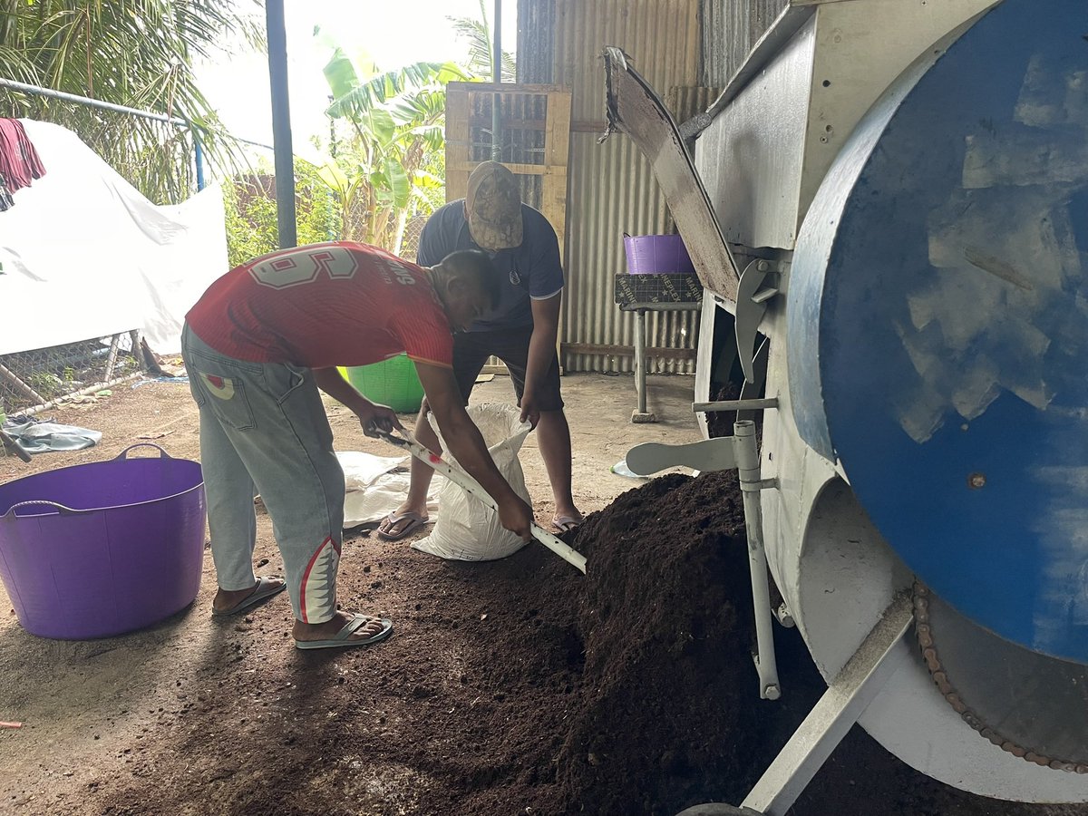 KUDA FARI - little big island tweet media