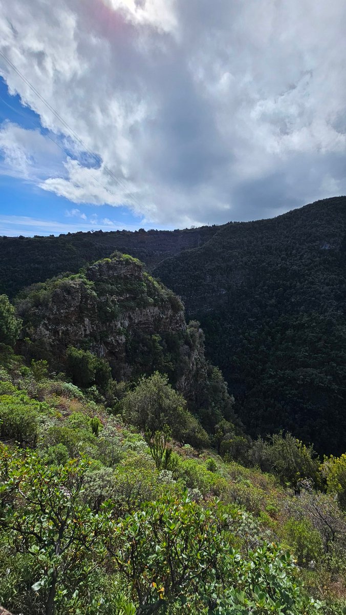 ViajarCamper's tweet photo. 💧 Terminas en el punto de información. Al salir, gira a la izquierda y encontrarás el Mirador del Jardín de las Hespérides 🌄 con vistas impresionantes. Y agua para rellenar tu camper.
#SenderismoFácil #RutasCanarias #CuboDeLaGalga #LaPalmaNatural https://t.co/1Sp0JY6DHY