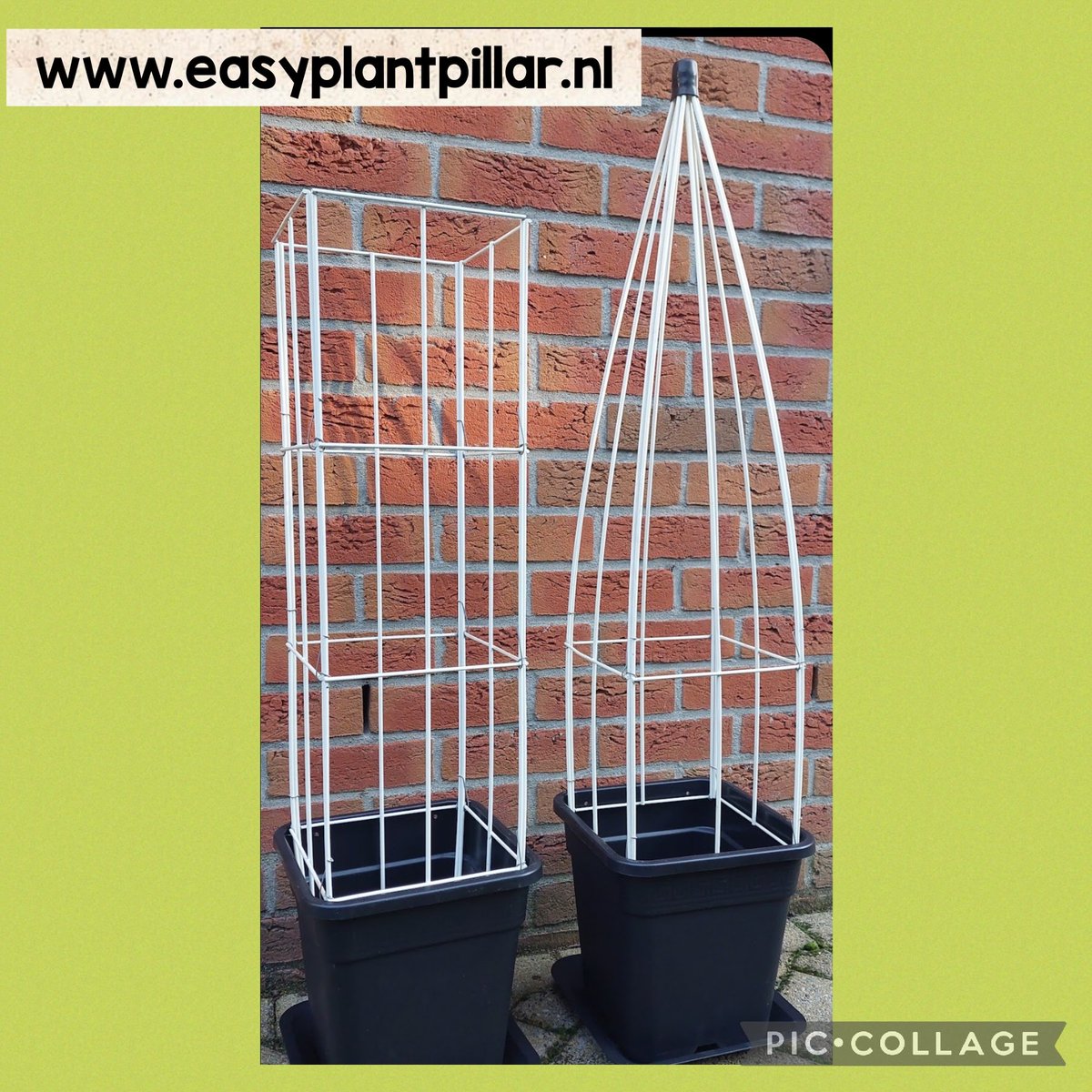 Easy Plant Pillar climbing plant racks. Vertical gardening with vegetables, fruit and support for other plants, more than 40 models. The Wire Racks do not rust and are extendable.
easyplantpillar.nl