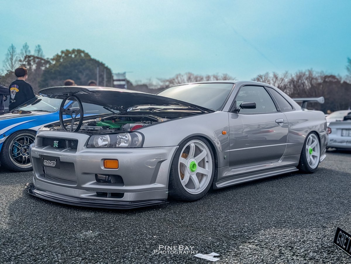 ひまうい❁⃘*.゜ Amazon | 防草シート ハイグレード 8Y | 園芸用シート