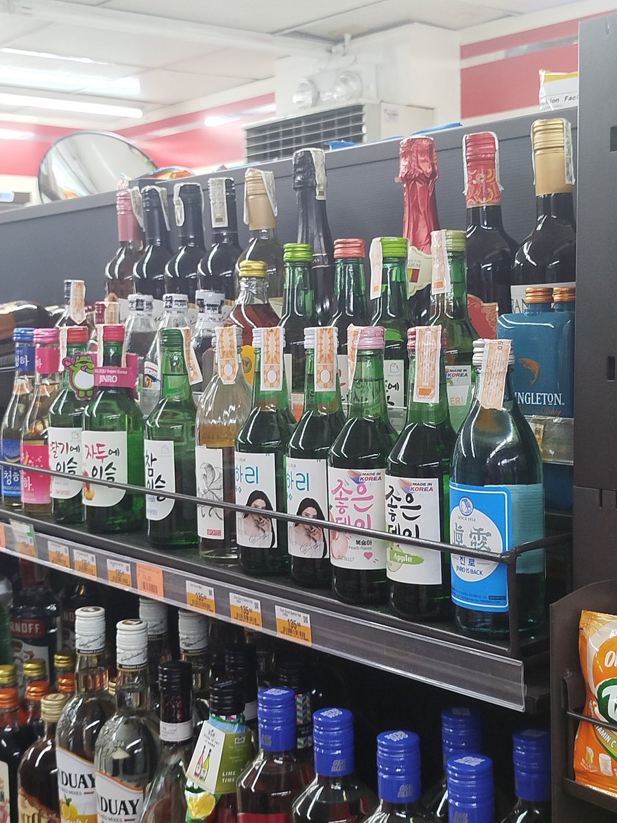 Cat Hooman tweet media