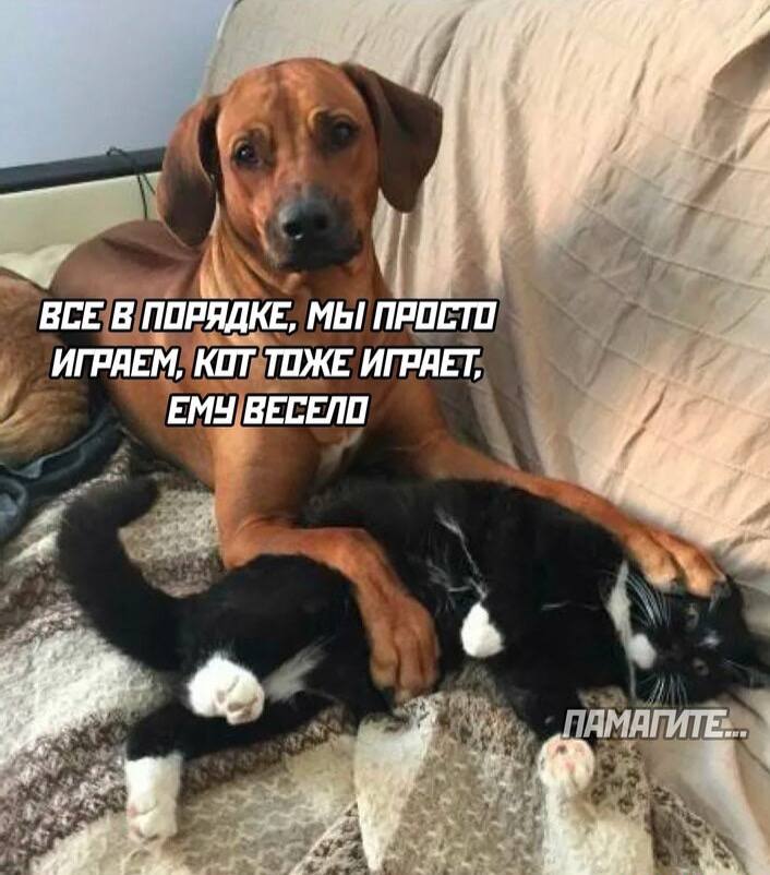 drunktwi's tweet photo. https://t.co/oJx7Ouo2Qa