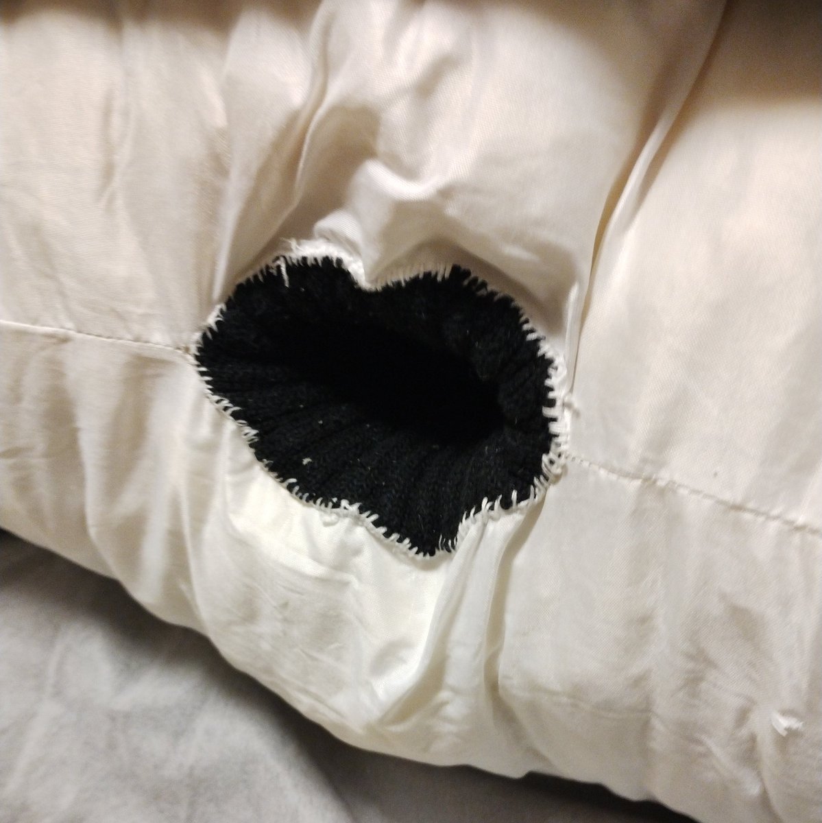 SensitiveA_us's tweet photo. 転生クッションはラブドールの夢を見るか？

つかわないクッションをリサイクルショップに持っていったら使用済みは買取不可なんだと
元々リサイクルショップで買ったんだけど…

どうせ捨てるので
戯れにオプションパーツを付けてみた

使い方はお父さんに聞いてみよう

#オナホ #ラブドール #sexdoll https://t.co/CoQPcVXvI9