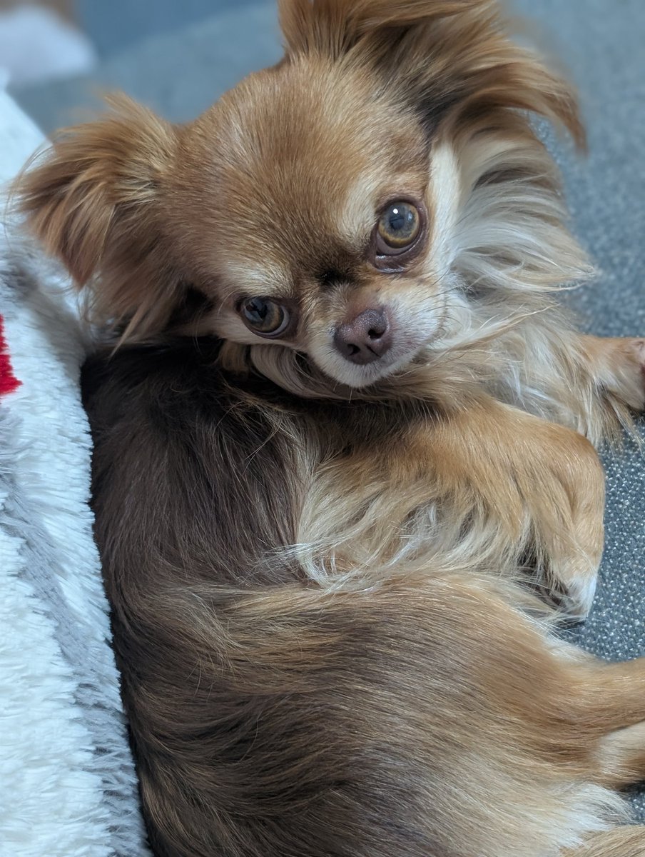 通りすがりのギャルに「瞳綺麗だねー！カラコンどこの使ってる？」って言われました。ギャルすごくない？