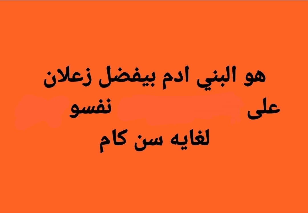 رشدي tweet media
