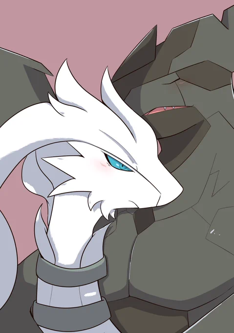 【再】 白黒 - Reshiram × Zekrom 
