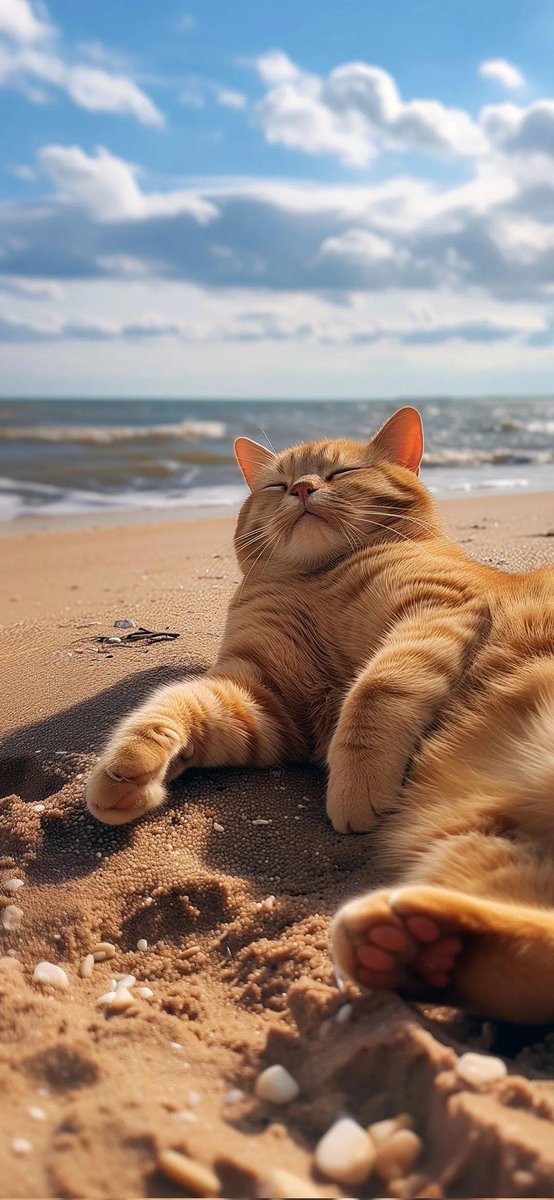 Dream Life 🧬  Chilling like a pro.
Someone bring me a tiny umbrella drink
Me after finishing one task and deciding 
I deserve a vacation.