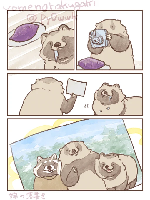 #たぬき
#嫁のたぬきストーリー

カメラ➁ 