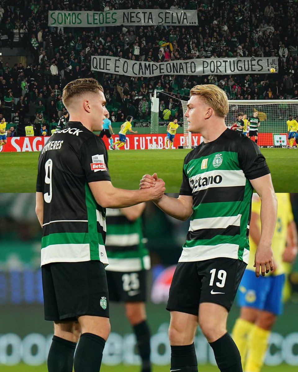 Só todos juntos conseguiremos conquistar o que mais queremos. Faltam 12 finais! ACREDITA SPORTING! 🦁