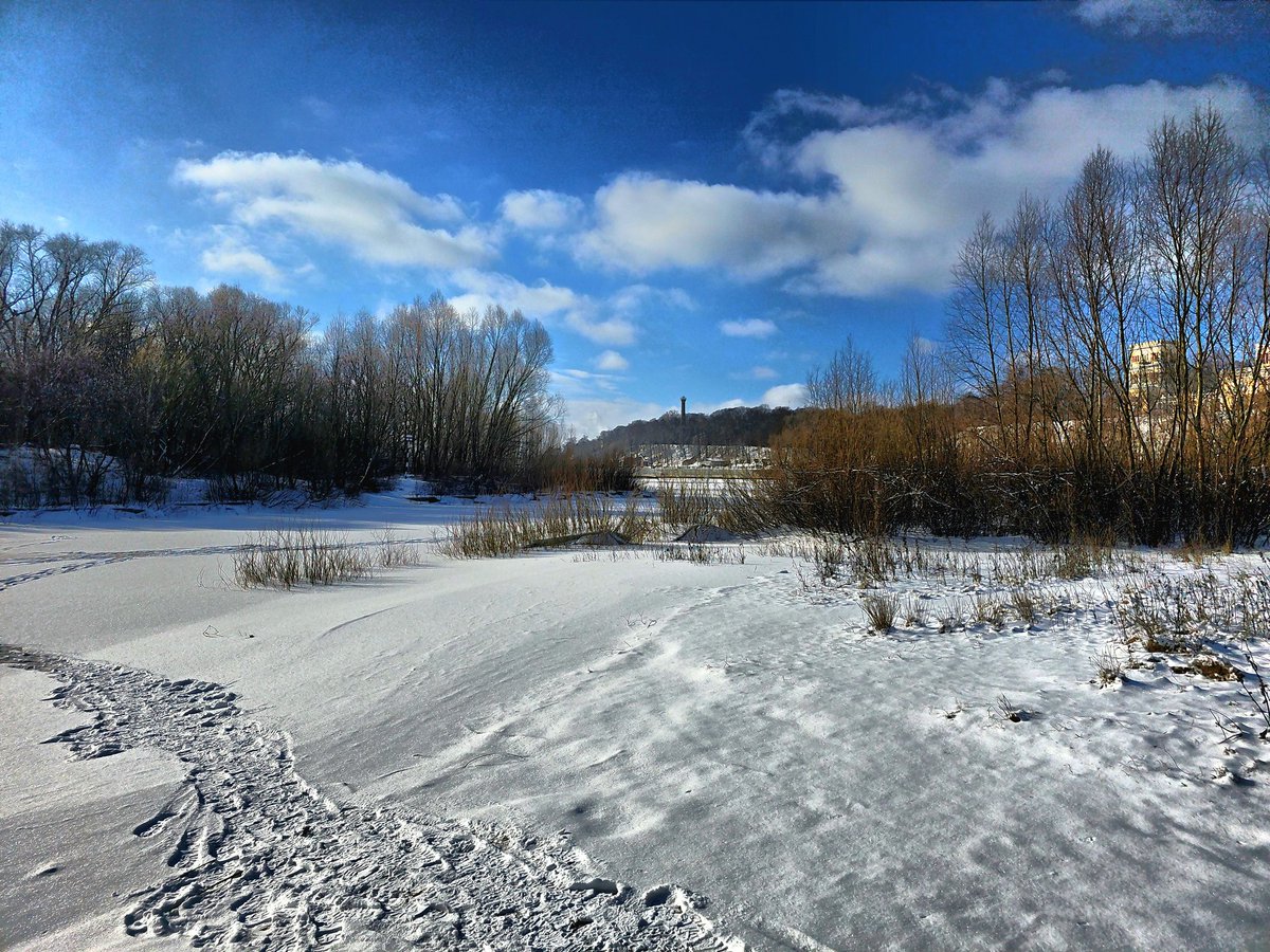 slowsquirrel's tweet image. #snowvibes