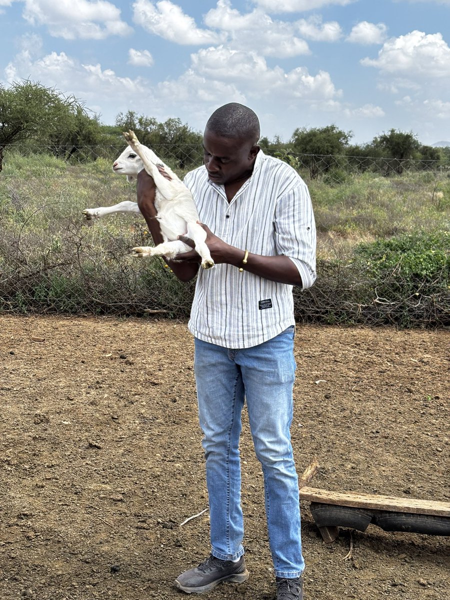 It’s been a great start of the year. We have recorded some steady herd increase despite the dry season.