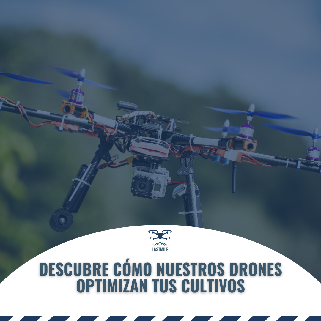 lastmiledrones's tweet photo. 🌿 La agricultura inteligente comienza desde el aire ✈️. Descubre cómo nuestros drones optimizan tus cultivos 🍇🌾 y cuidan el planeta 🌍. #LastMileDrones https://t.co/yXYy3wbmJN