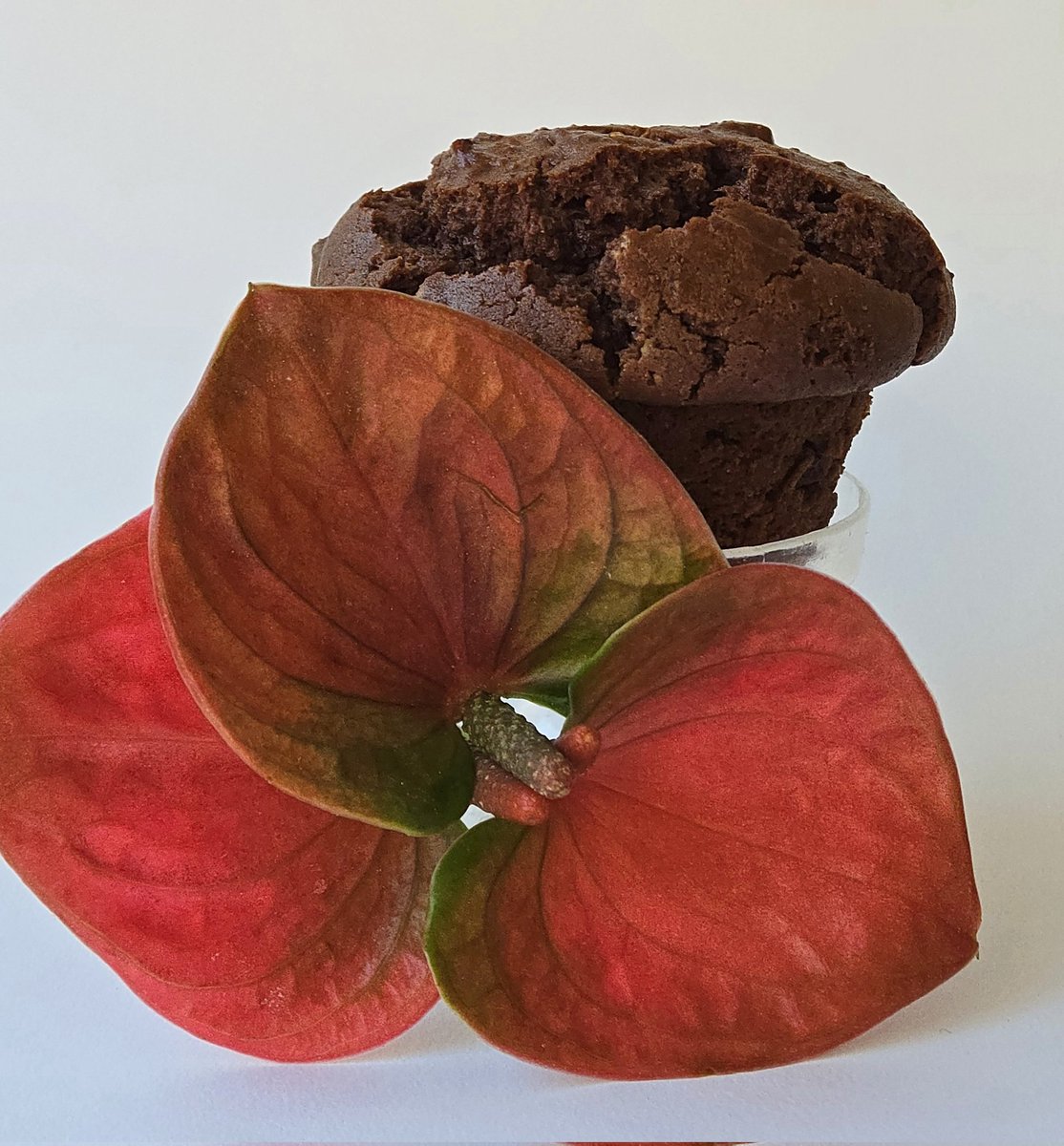 Mexican Hot Chocolate Croplet ® is vegan and gluten-free, made with locally sourced whole-grains, whole crops, and other whole better-for-you ingredients without compromising flavor and texture. You get this  Valentine's offering and more, find us <a href="/FRESHFARMDupont/">FRESHFARMDupont</a> market today!