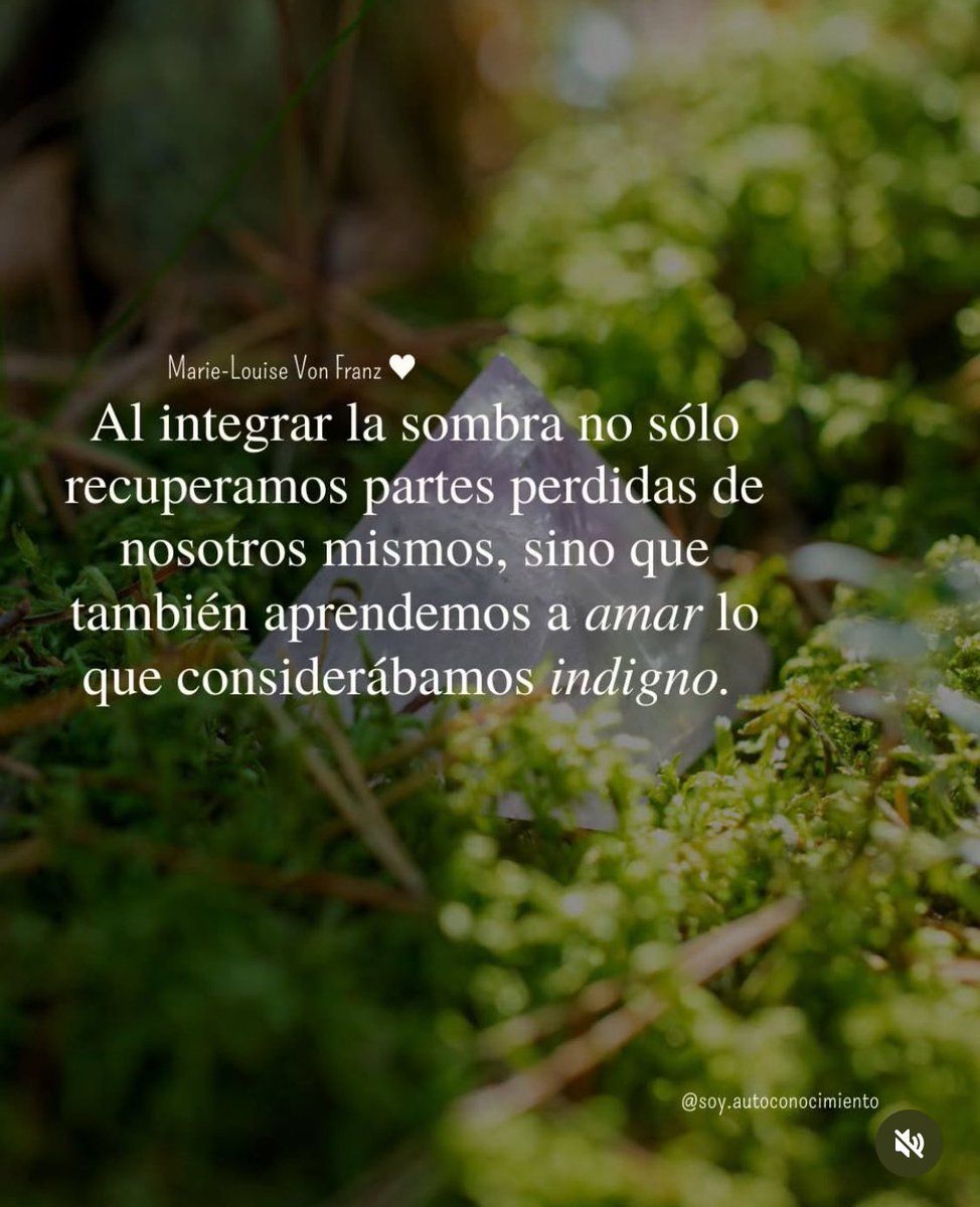 Ivonne LF (@concienciasoy) on Twitter photo 