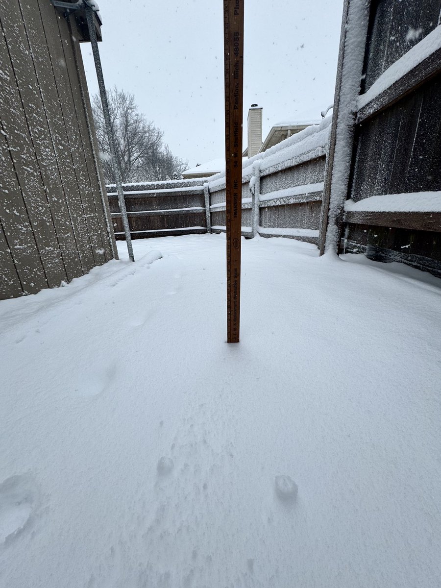 Sandy 🦋 tweet media