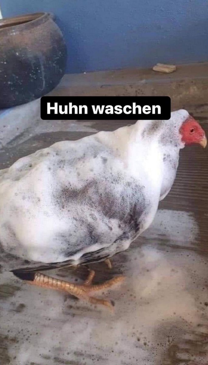 herr knax tweet media