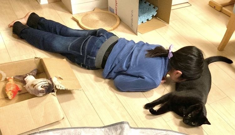 프로도 (@frodosang) on Twitter photo 