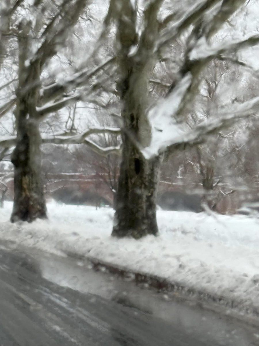 SWHS Speech & Debate tweet media